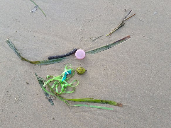 20151213_190008-seaweed-pollution